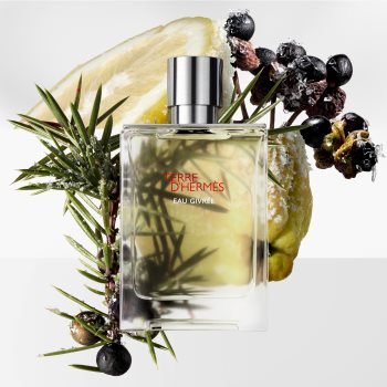 HERMÈS Terre d’Hermès Eau Givrée Eau de Parfum reincarcabil pentru bărbați - imagine 3